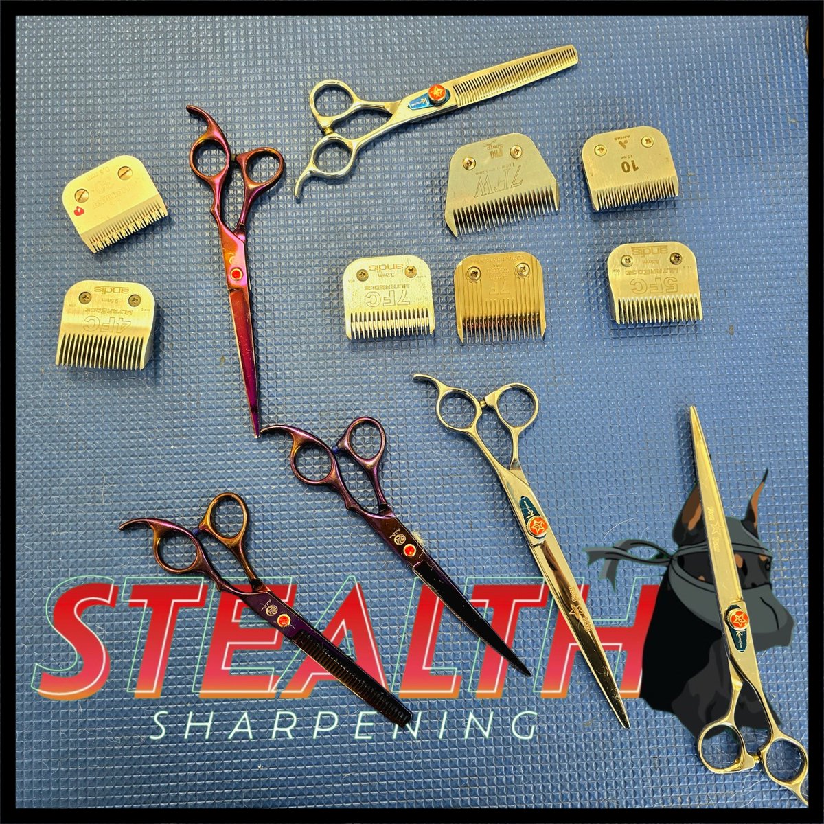 StealthSharp's tweet photo. an assortment of grooming equipment today.
#buckshawvillage #preston #Leyland #chorley #Servicing #Sharpening #shearsharpening #ShearServicing #ScissorSharpening #ScissorServicing #StealthSharpening #sharp #ThinningShears #Chunkers #Curved #rideline #curvedshears https://t.co/rgjhD4LJxs