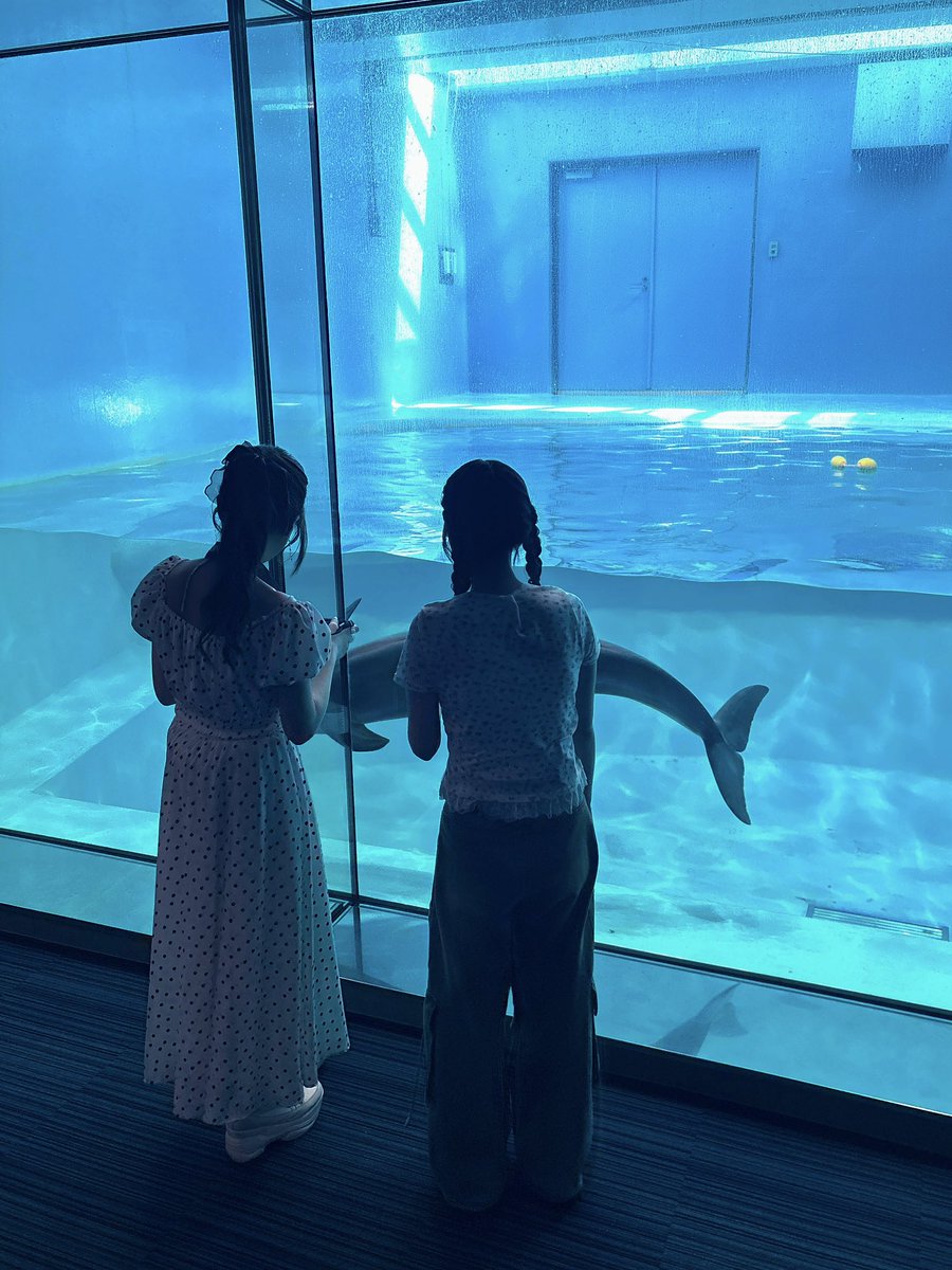 miya_minato1216's tweet photo. #みやカメ ご視聴いただきありがとうございました！

かわちとまったりお話しながら巡る水族館、楽しすぎる…💗
カメさんも間近で見ることが出来てとてもラッキーでした💫可愛かった〜🐢💞

マネージャーさんが撮ってくれていたイルカさんとの3ショット📸 https://t.co/S1uiBW107S