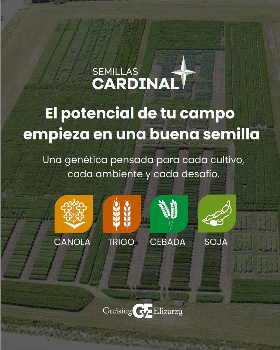 Cardinalseeds's tweet photo. 🌱 El potencial de tu campo empieza en una buena semilla

En Semillas Cardinal trabajamos con genética pensada para cada cultivo, cada ambiente y cada desafío.

🌼 Canola
🌾 Trigo
🌿 Cebada
🫘 Soja

✨ Semillas Cardinal | @GyEsemillas https://t.co/In3mqHDCqU