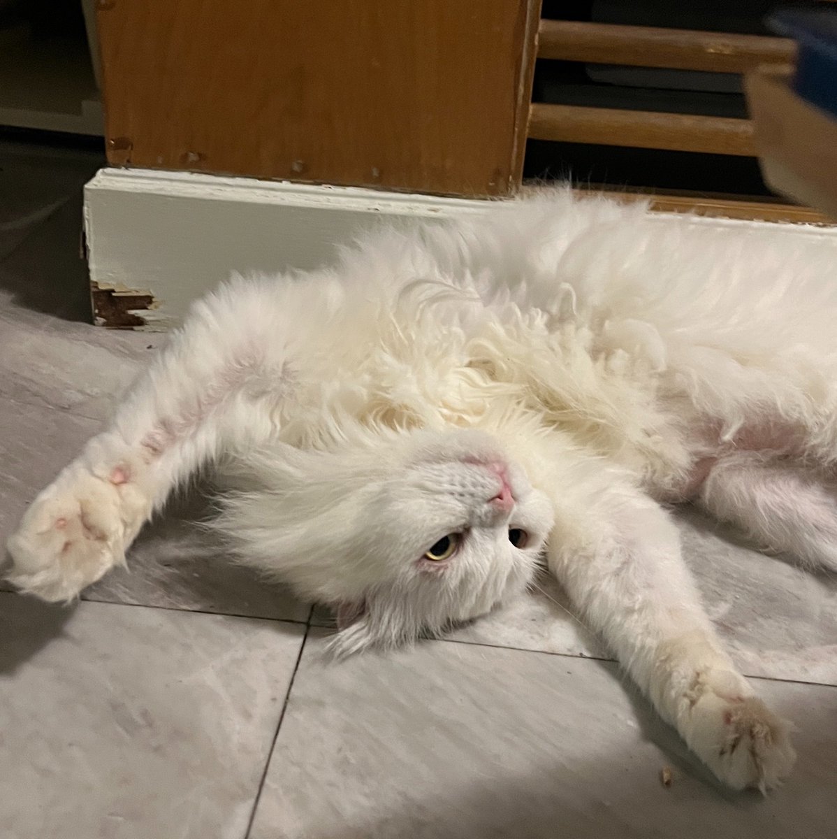 awwwfluffy's tweet photo. #วันนี้จิมจินอนท่าอะใด https://t.co/7phevpB7IN