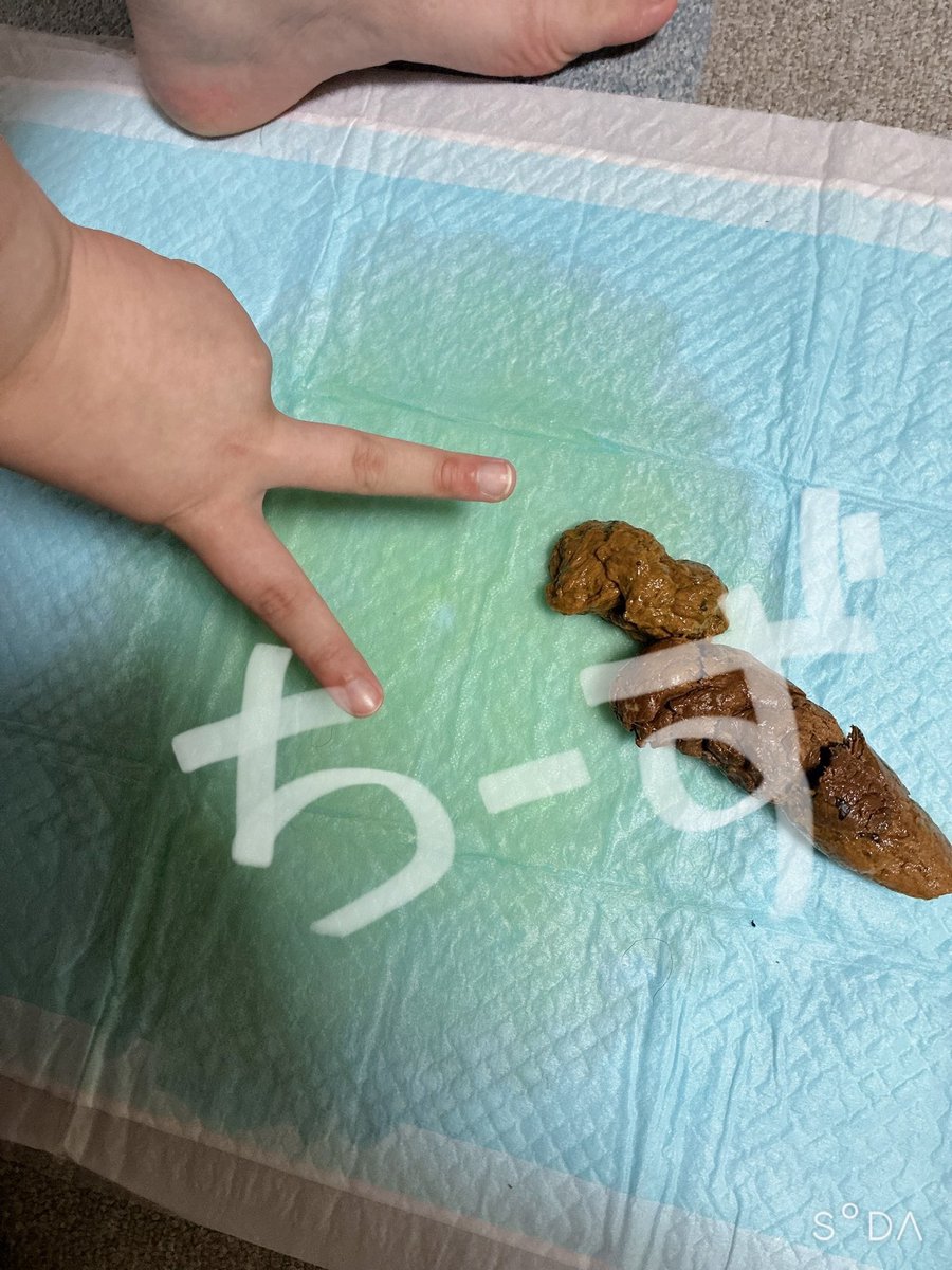 cheese_new_'s tweet photo. ノーマル四つん這い排泄動画

2025.09.01 https://t.co/P8UdzIyPGu