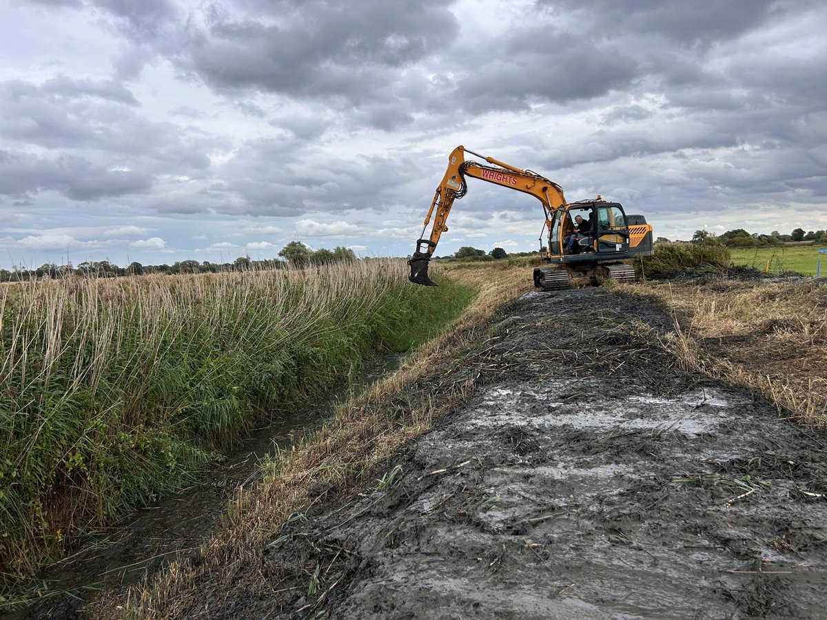 LDV_NNR's tweet photo. More ditch management works have been carried out across the #LDV this week – making sure water can move in and out of the site when required, as well as allowing the ditches to retain water in drought conditions and creating a more open water network for a range of wildlife. https://t.co/64AnszmgbE