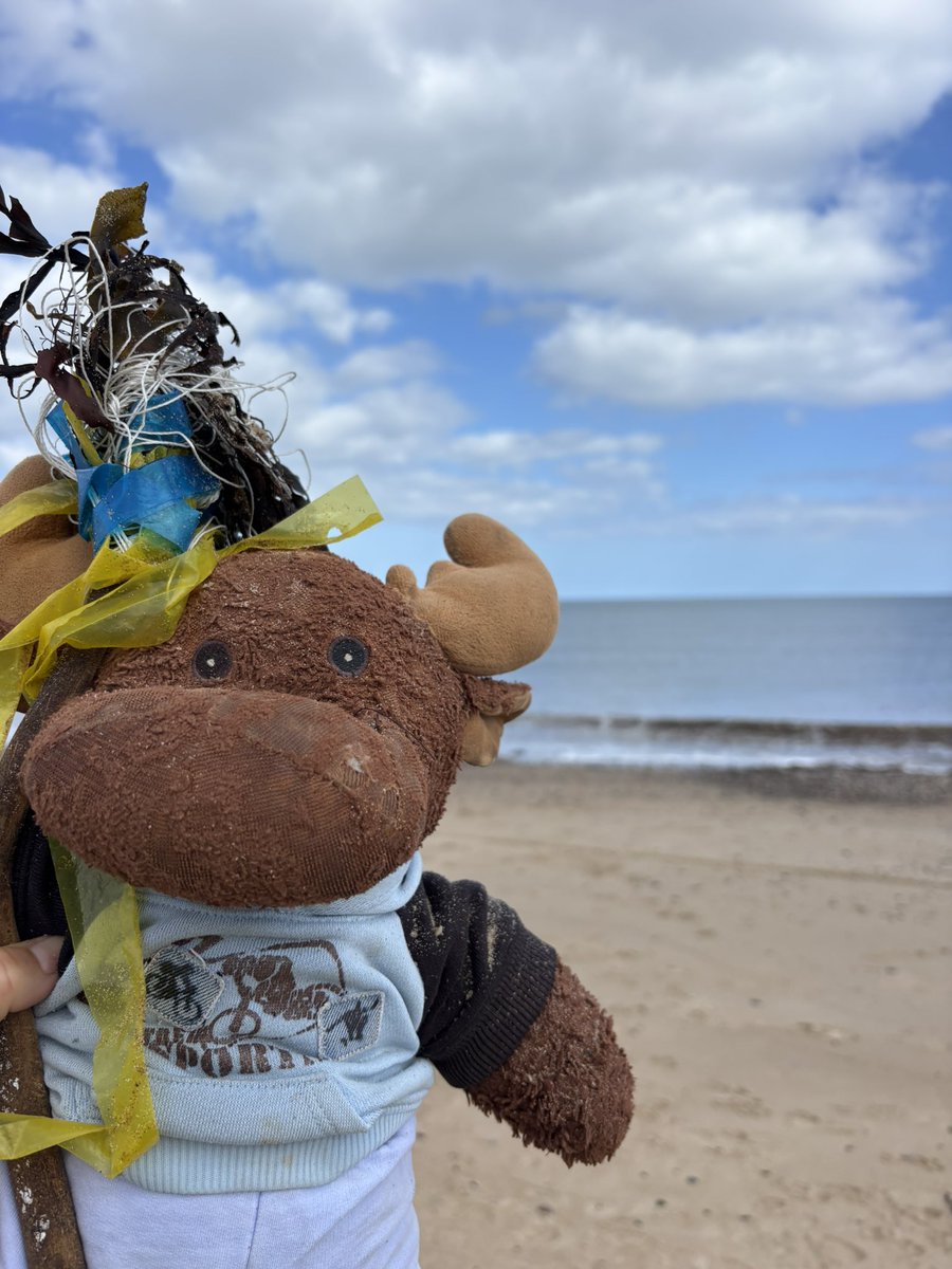 waddells74's tweet photo. #Plastic pollution #Cambois 🏖️
Remember it takes 2minutes to #Binit gallop 🏇 off to a Bin 🗑️ guys saving 🐴 🐶 🦌 🐳 🐬 🦭 🐙 🐦 🌊 xx 👧 ❤️ 🐴 xxx https://t.co/COC1PHoJqx