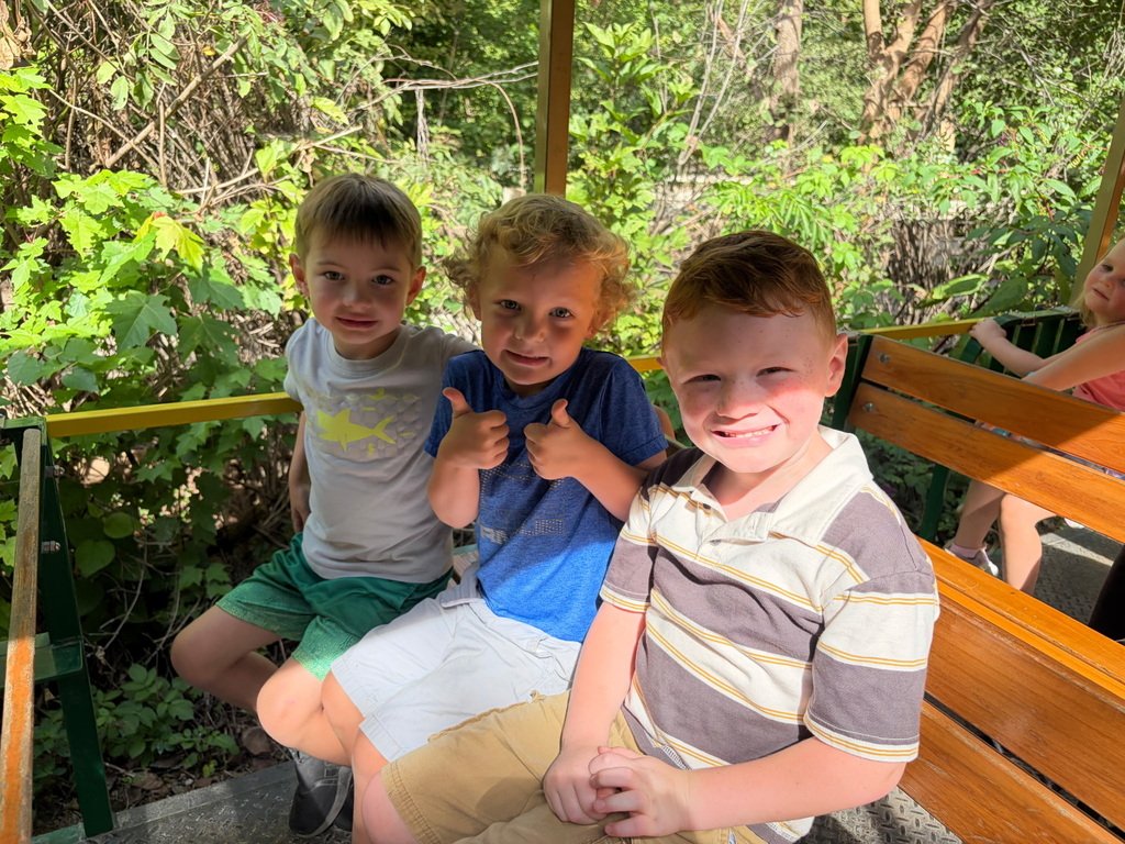 SQThomasElem's tweet photo. Nothing quite transitions us to the fall season like going to the pumpkin patch!  
Kindergarten students spent the day exploring Vala's and picking their favorite pumpkin. https://t.co/XitHKxl2nm