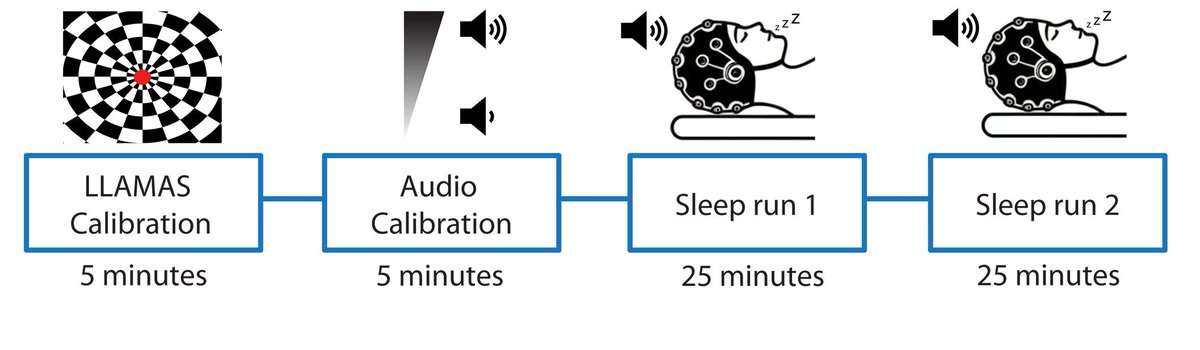 ScienceTM's tweet photo. Auditory stimuli delivered in phase with peaks of #EEG slow waves in the brain increased cerebrospinal fluid (#CSF) flow in healthy adults napping inside an MRI machine, offering insight to treating dysfunctional CSF flow. @MIT_IMES @BostonU_BME https://t.co/w121MnsEue https://t.co/QlZ6QOFk5U