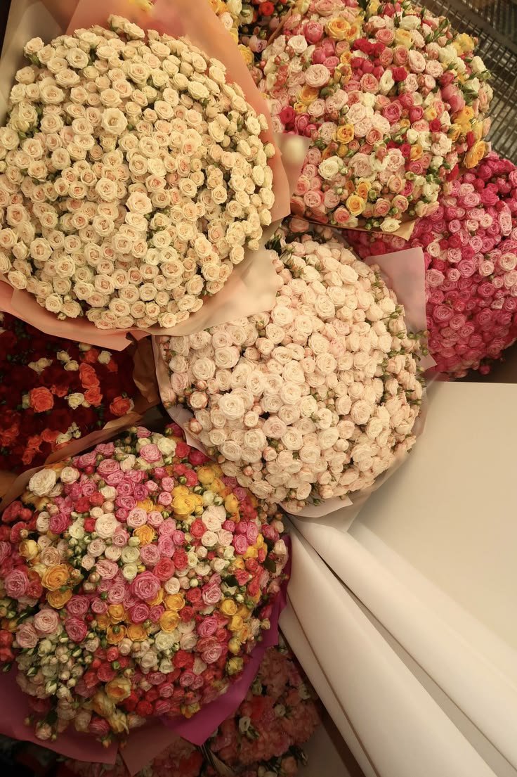 Flowersidmb's tweet photo. https://t.co/r2ivVtS9jX