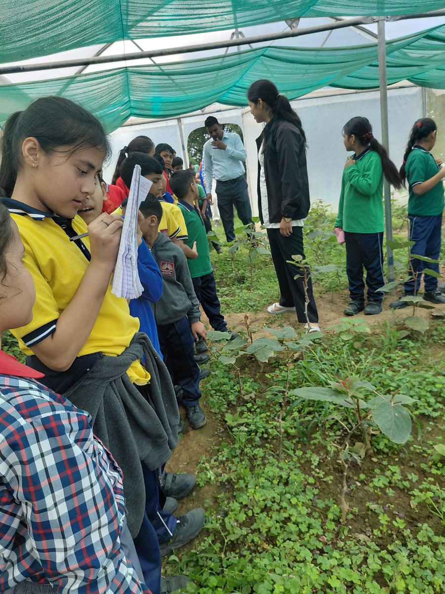 kvpauri's tweet photo. One day field visit to science museum, राजकीय udyan  #kvs
#Learning Experience
 #experiential learning https://t.co/ZkxFRTQbor