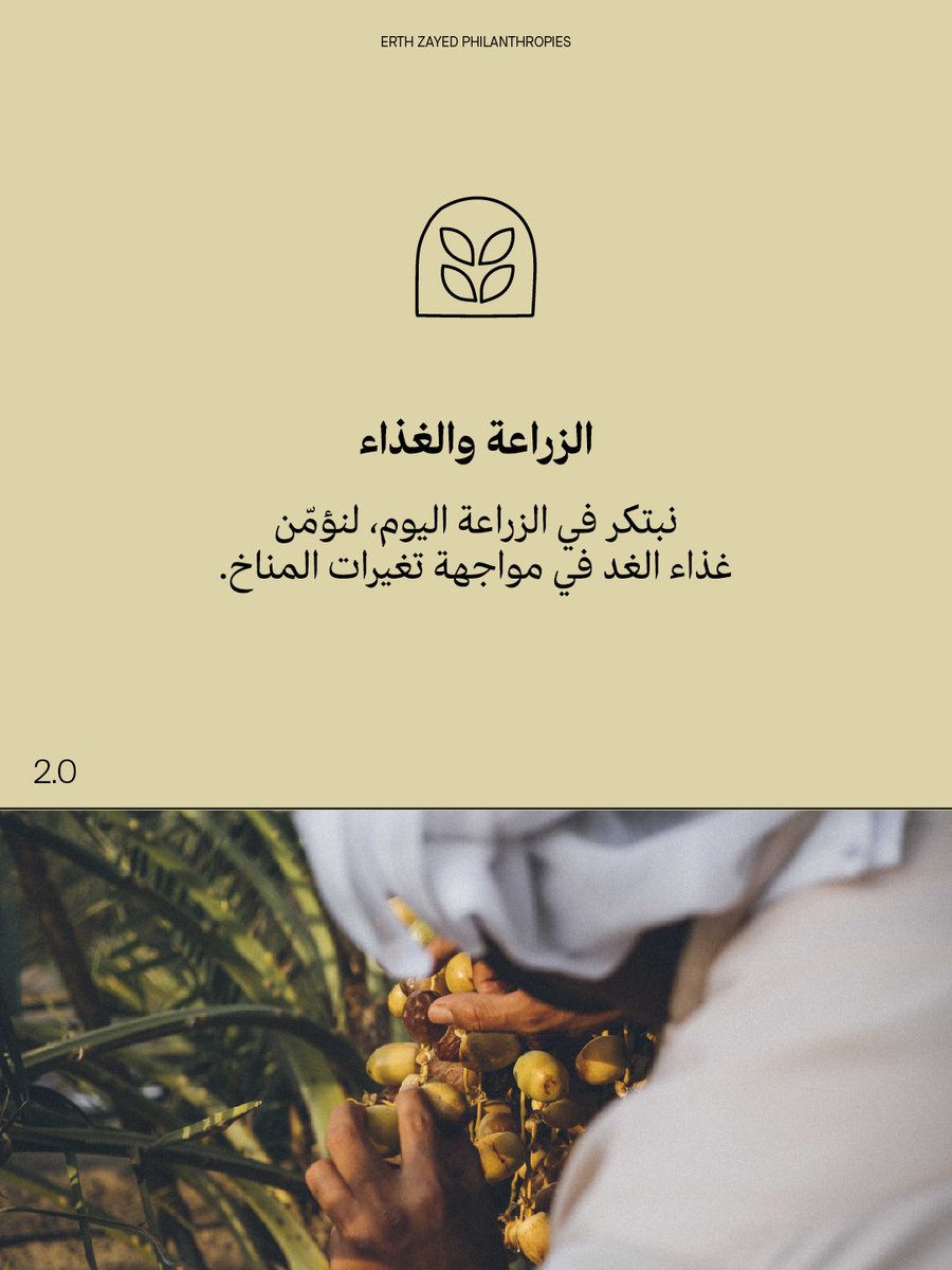 ErthZayed tweet picture