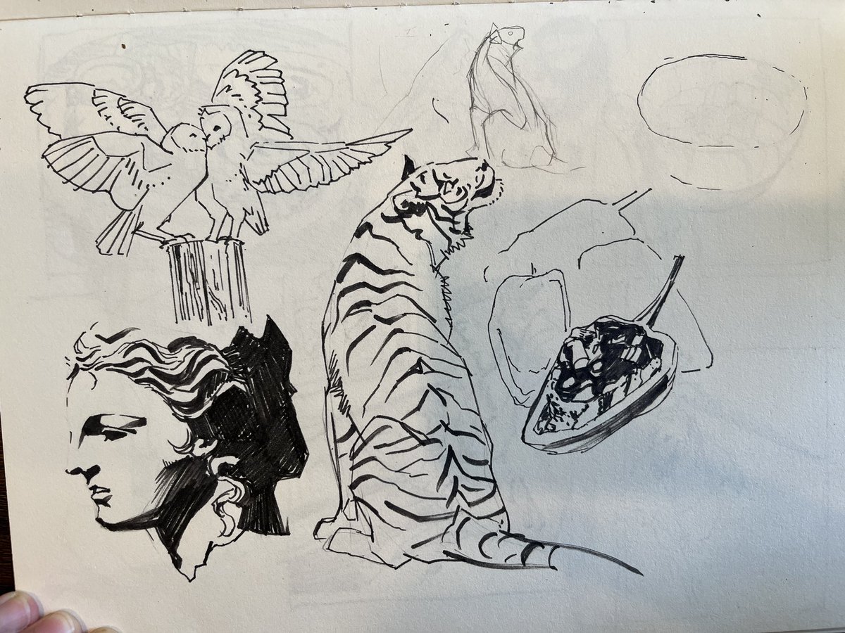 StipajjapitS's tweet photo. daily sketch https://t.co/fTO40FgD92