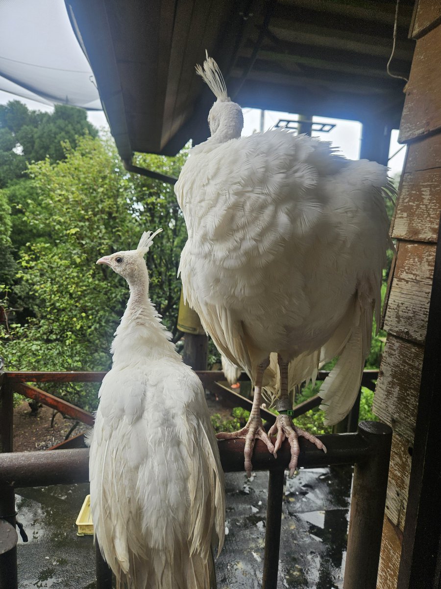 halmura's tweet photo. この前行った紡ちゃんとの伊豆旅行！
楽しかったなー！！！ https://t.co/9hebC1Ylmu