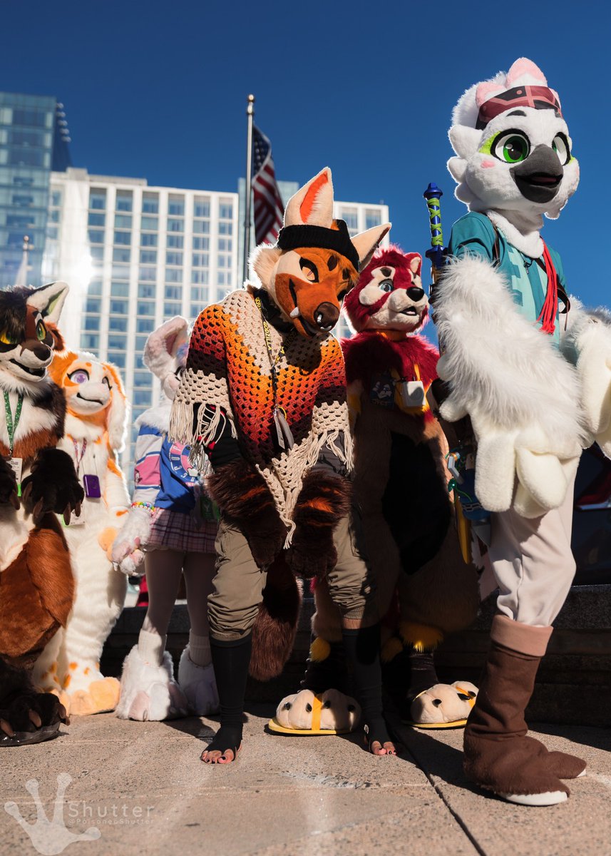 Sandraincloud's tweet photo. fuzzin about with tha Homies this #FursuitFriday :3

📸: poisonedshutter https://t.co/x52ouSDoKA