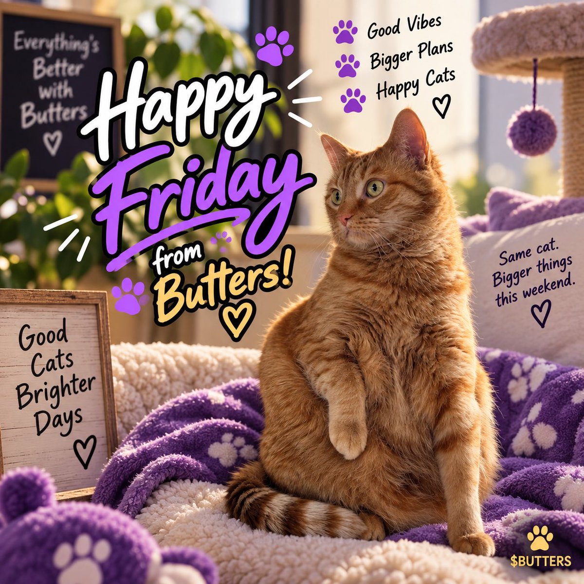 MeetButters's tweet photo. TGIF! https://t.co/BTw2Uftclg