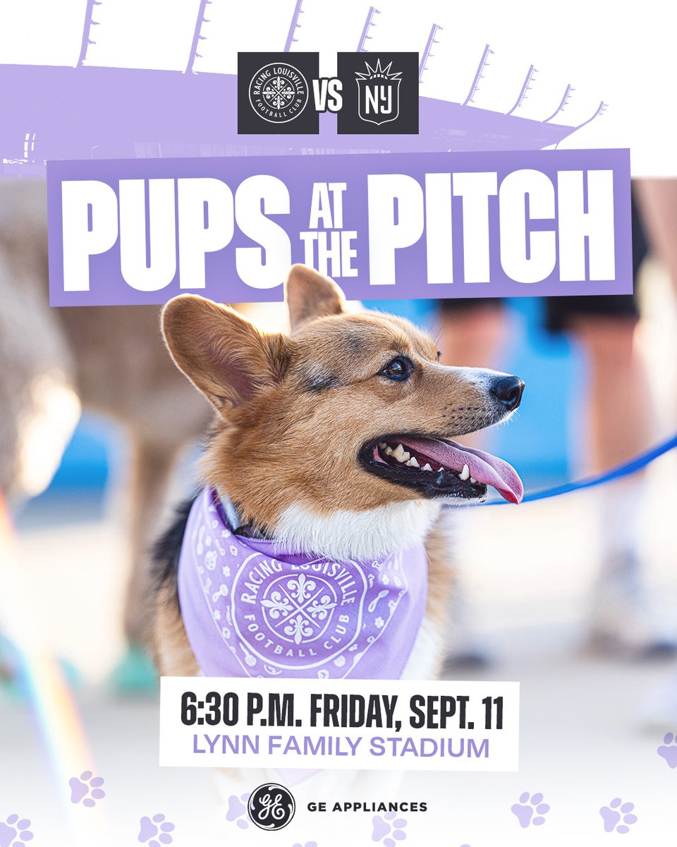 SportsinLou's tweet photo. 🐶⚽ Who let the dogs out?!

Bring your furry friend to Lynn Family Stadium tonight for @RacingLouFC vs Gotham FC!

🐾 Gates open: 5 p.m.
🍺 $3 hot dogs
⚽ Kickoff: 6:30 p.m.
💙 Proceeds from Pups at the Pitch tickets benefit @kyhumane

🎟️ https://t.co/Oi03nPPM7O https://t.co/JaiTPRejDL