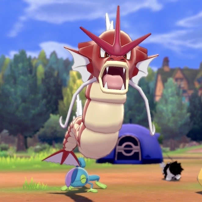 Citrine_Citrus's tweet photo. Thank you guys for all the kind words and for sharing your own shiny stories!
I did catch her and she is staying on the team <3 https://t.co/z7Fr8Or9BX