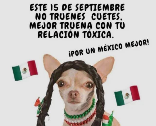 TuzitaXtuitera's tweet photo. https://t.co/tS611nfaIQ