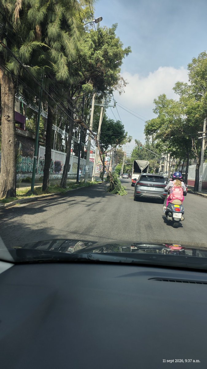 gperales130's tweet photo. @C5_CDMX @SSC_CDMX @OVIALCDMX @UCS_GCDMX se solicita apoyo para retirar rama de árbol en calle Lucas Alamán y 5 de Febrero Col Obrera @AlcCuauhtemocMx @AlessandraRdlv @pcacuauhtemoc https://t.co/iGhuqHXL28