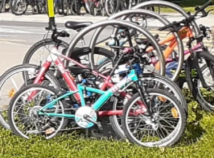 ahuncycle's tweet photo. Preuve que les écoliers de l'école Louis-Colin apprécient la piste sur Sauriol. #TransportActif #vélo #velomtl #Montréal https://t.co/DFmSmufsCJ