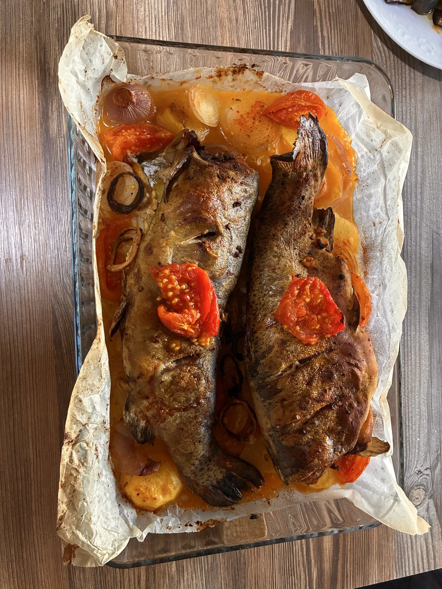 ayayyfatma's tweet photo. bugun ii deildm 🫪🥲🥲🥲🥲
salata super
kizartma - 7/10 patlicanlardan bazilari yanmis
yogurtlu brokoli - 8/10 (ben otculum)
balik - 4/10 yani kanli yerleri kalmis aciydi oralar onun harici sosu emmemis pek fail oldum😡 https://t.co/AXQTnl5tOM