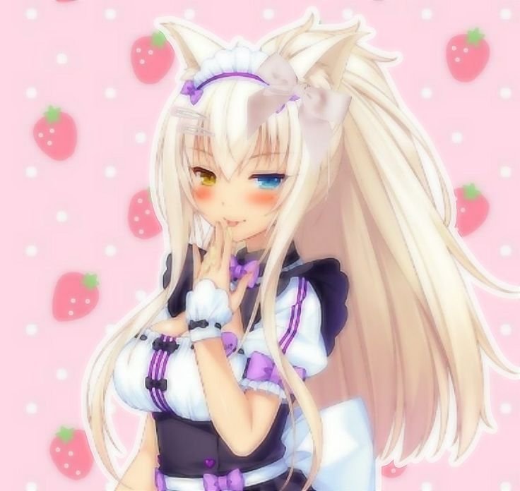 coconut2dfd's tweet photo. Free task Friday🐾🤍🥥︶꒦︶꒷︶︶꒷꒦︶︶꒷꒦

Sends lots of likies 💖 and repostssz 💞 as much as you cannn~ >.<

OMGEE wats the worst that can like happenn ;3?? It'll feel reallly good possibly 

Commentsz💌 when ur doneeee mwah

#2dfd bimbo #rtsub catgirl #freetask https://t.co/RDn1QesUWO
