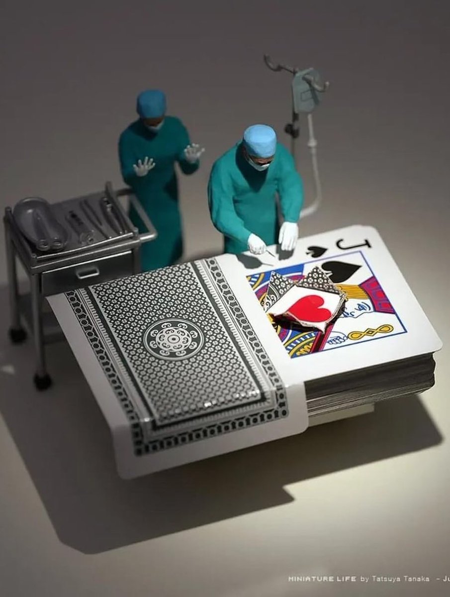 enigmacuration's tweet photo. Miniature life by Tatsuya Tanaka, 2023 https://t.co/u3ewVmtiZl