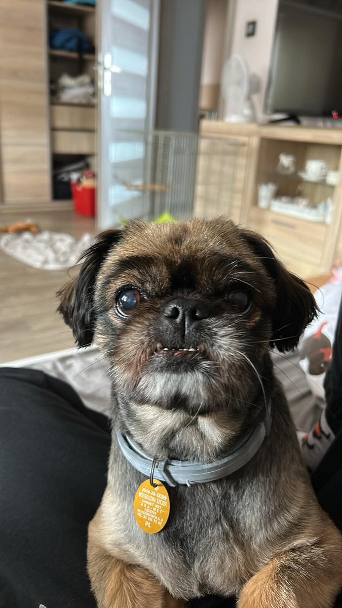 blackpumpkinn's tweet photo. bo wiem ze nikt sie nimi nie zajmie https://t.co/D0otZFJj3s
