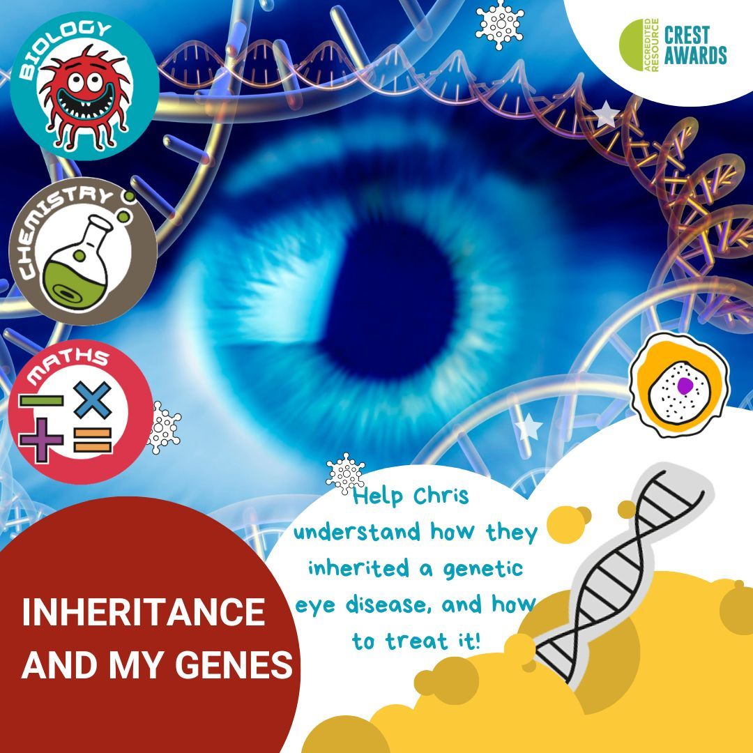 TheCuriosityBox's tweet photo. Primary #schools in #Swansea and #Burnley: your school may be eligible for an Edina Trust science grant covering our eight box STEM Venture Bundle, worth £1,635 including VAT. The grant is non competitive. Check the details here: https://t.co/DO2mnFLH7b https://t.co/9Y9oXWK4WT