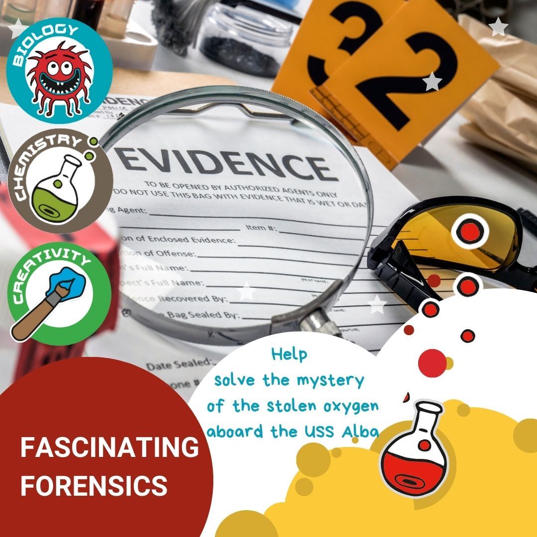 TheCuriosityBox's tweet photo. Primary #schools in #Swansea and #Burnley: your school may be eligible for an Edina Trust science grant covering our eight box STEM Venture Bundle, worth £1,635 including VAT. The grant is non competitive. Check the details here: https://t.co/DO2mnFLH7b https://t.co/9Y9oXWK4WT