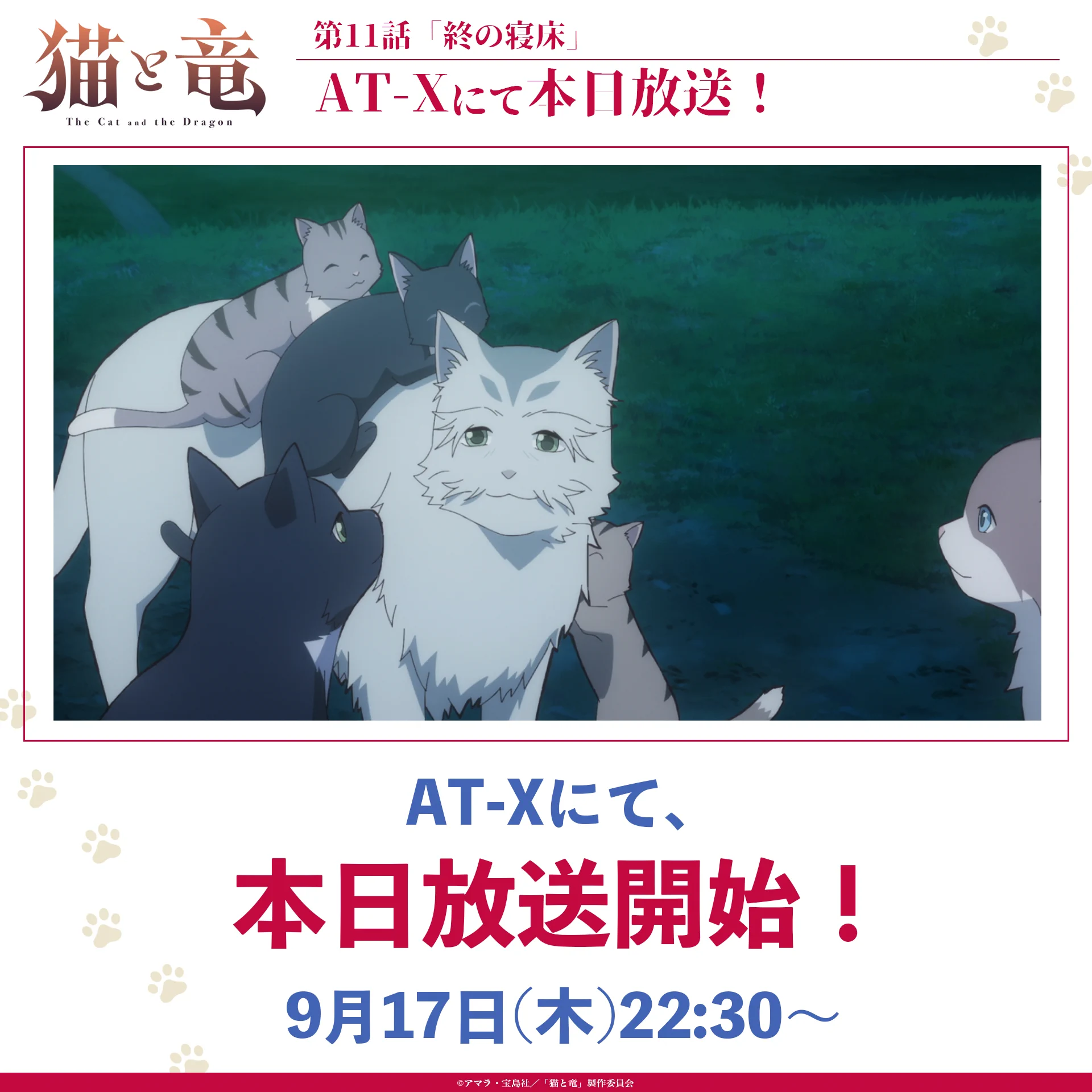 猫と竜』公式【㊗️第2期制作決定！】 (@NekoRyuu_PR) / X