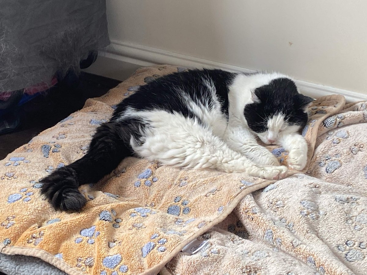 keeks_so's tweet photo. just realised i missed her birthday last friday!!! my 18 year old baby!!!! https://t.co/cEz0UCgwfF