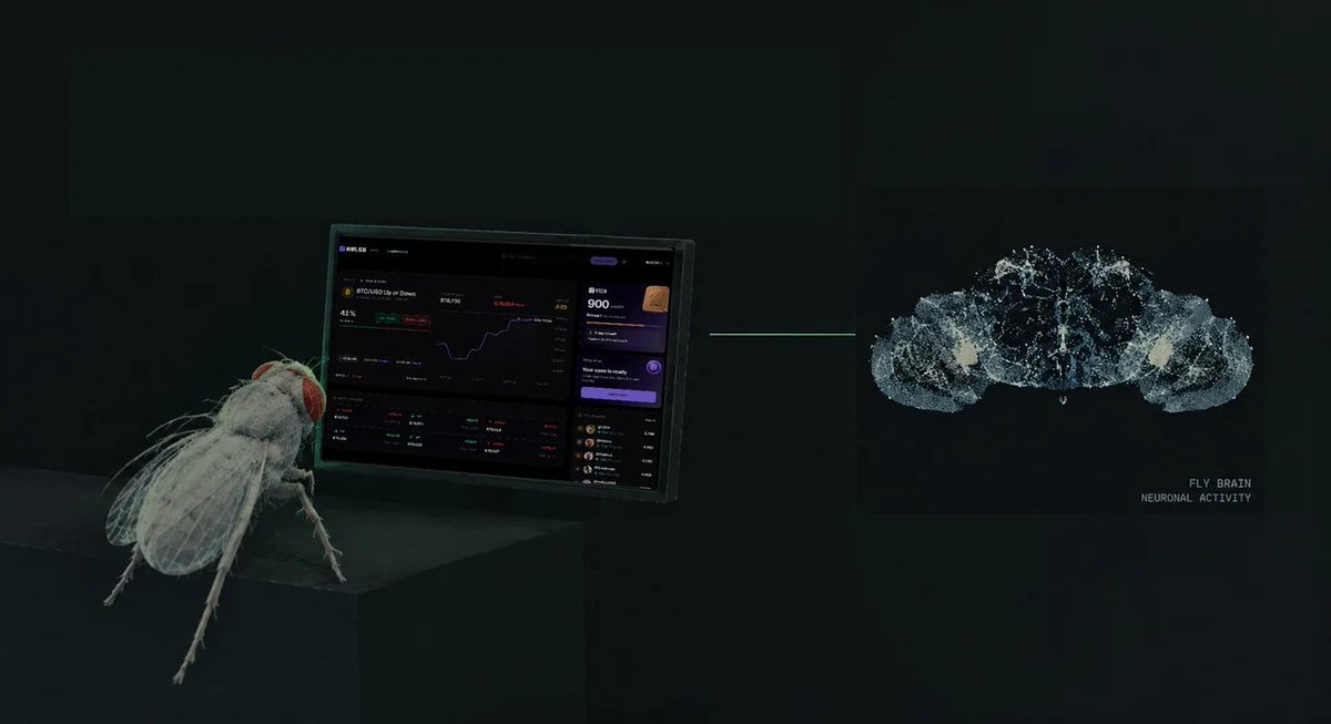 meleemarkets tweet picture