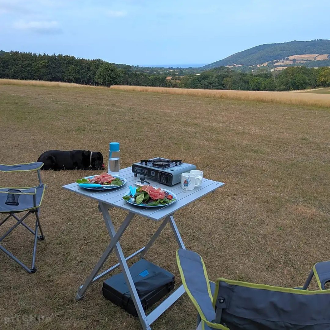 pitchup's tweet photo. The kind of place where your biggest decision is whether to walk towards the moor or the coast. 
Porlock Vale Campsite sits in a nine-acre meadow on the Holnicote Estate, with #Exmoor views, abundant wildlife and serious peace and quiet.
https://t.co/9k7rdrYttg https://t.co/2kp5lMBNtc
