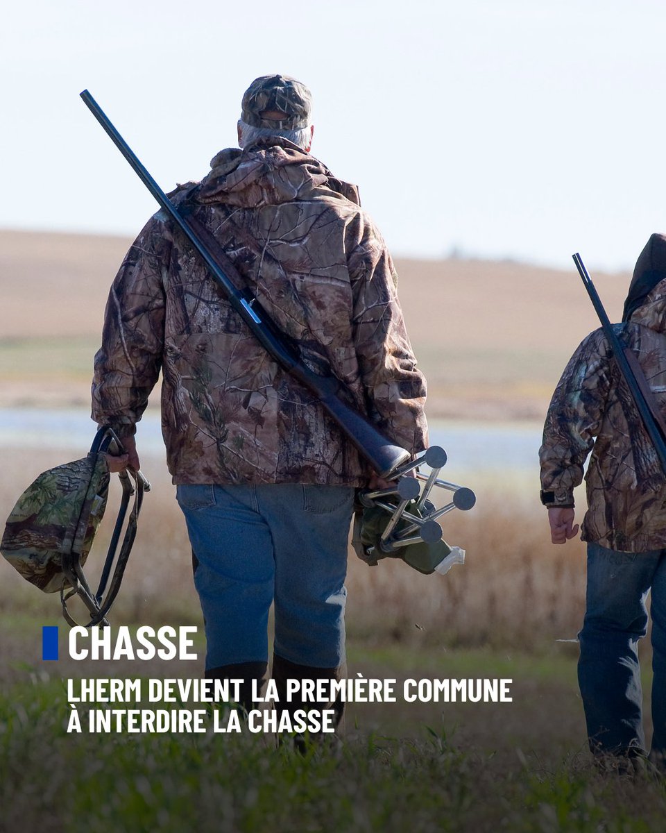 FBB_Officiel's tweet photo. CHASSE : Une commune de Haute-Garonne devient la première en France à interdire la chasse sur son territoire

C'est une première en France : le maire de Lherm, en Haute-Garonne, a obtenu le retrait de 29 hectares de terrains communaux de la chasse à partir du 11 janvier 2028. Ces territoires, très fréquentés par les habitants, deviendront une zone sanctuarisée où les animaux pourront enfin vivre en paix !!

Cette décision fait suite à plusieurs accidents graves : un cycliste blessé par balle en 2007, une balle perdue retrouvée dans une entreprise en 2021. Face à ces incidents répétés et à un lobby de la chasse qu'il qualifie lui-même d'"extrêmement puissant", Frédéric Pasian s'est appuyé sur le Code de l'environnement, qui permet à tout propriétaire, y compris une commune, d'interdire la chasse sur ses terrains pour convictions personnelles.

Cette victoire ouvre la voie à d'autres communes en France. Un sondage rappelle que 8 Français sur 10 souhaiteraient voir la chasse interdite le dimanche, preuve d'un ras-le-bol partagé face à ces pratiques dangereuses.

Pendant ce temps, la chasse reprend dans les Landes après une suspension liée aux incendies, et celle du gibier d'eau a débuté le 1er août malgré les alertes de plusieurs associations sur l'épuisement des oiseaux fragilisés par la canicule et la sécheresse.

La Fondation Brigitte Bardot salue le courage de Frédéric Pasian et espère que cette décision inspirera d’autres maires en France !