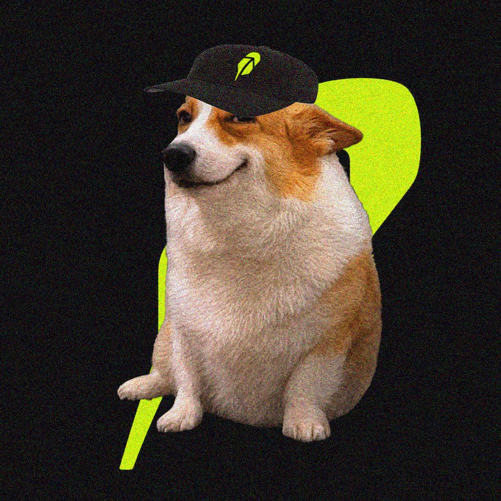 CashDogs_'s tweet photo. OFFICIAL $CASHDOGS IS NOW LIVE

CA:
0x3207c8D9015335E6dc7F4A8b597f5d182b571BF2

🟢 Launchpad: https://t.co/EPAREBiC6W

📊 OpenSea : https://t.co/tU8E8aGUZ5

DEX IS COMING NEXT 👀

The dogs are officially out. Let’s run it 🐶💰🔥 https://t.co/Ghrf6yNbjq