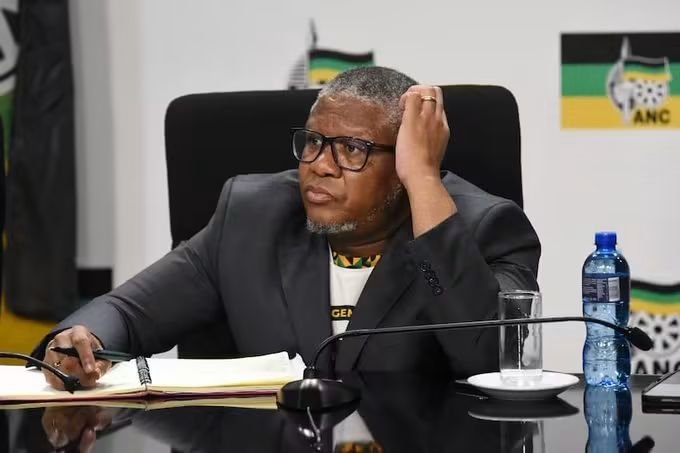 sbu_sbuda90174's tweet photo. We owe Mbalula a big Thank you for killing the ANC 🙌
@MbalulaFikile siyabonga Mfanakithi https://t.co/MESdwlHTTE