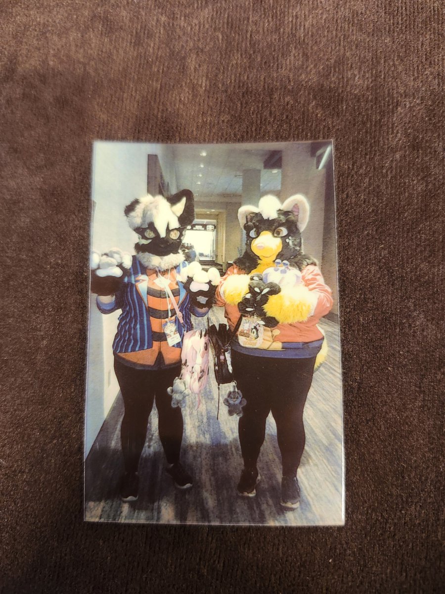 BirbGoBoom's tweet photo. First day of @FurryMigration ! Didn't do much besides register and walk around, but excited for tomorrow! Thank you to the other bee who got a photo with me 🐝❤️

#furry #Fursona #fursuiter https://t.co/0asIeqHkGe
