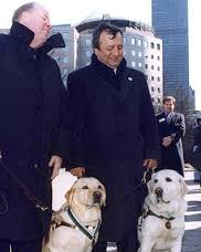 WKCDOGS's tweet photo. On September 11, 2001, countless canine heroes answered the call with unwavering courage. Today, we're honoring three extraordinary heroes whose service, bravery, and loyalty continue to inspire us.

📸: Texas Task Force 1, Houston Chronicle, Gerald E. McLeod, 9/11 Museum https://t.co/RQ5PBezFte