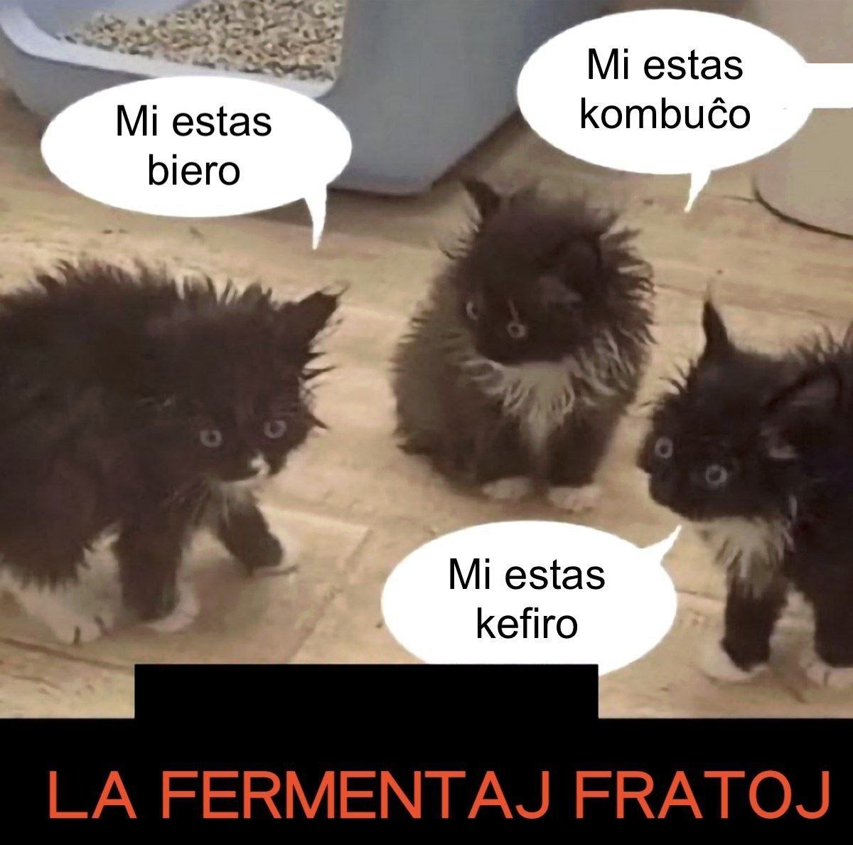EMemeoj's tweet photo. La fermentaj fratoj (#memeo ŝtelita for de telegramano) #Esperanto https://t.co/E2FyGMaPBY
