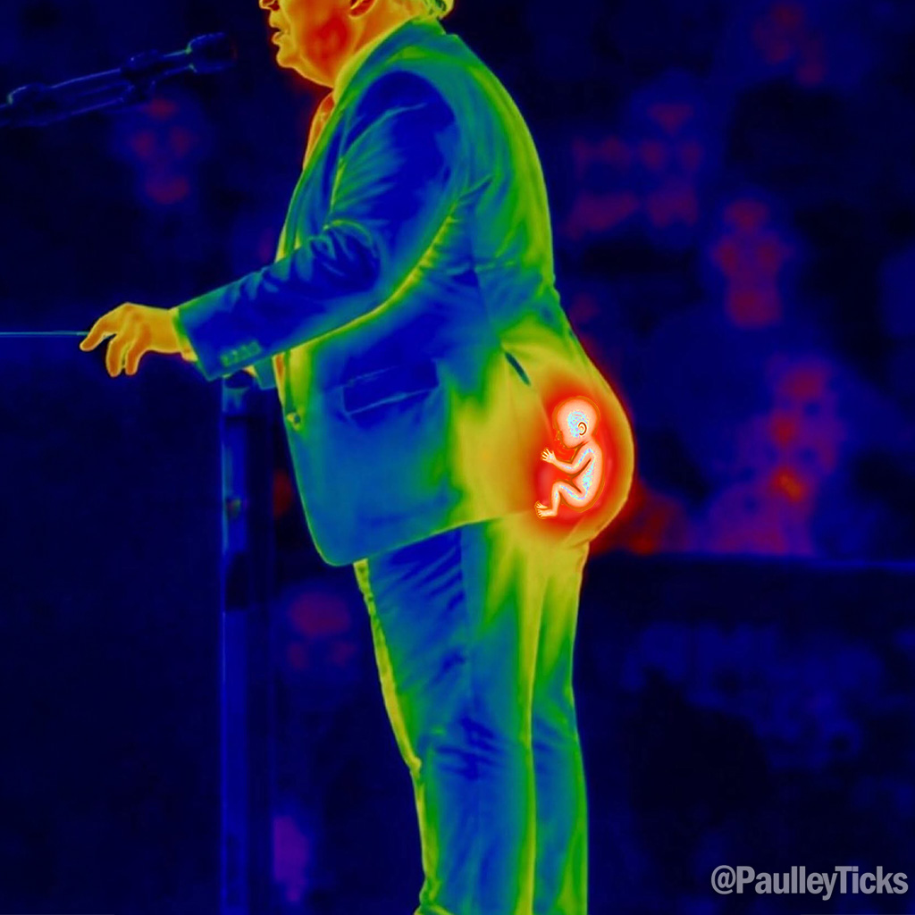 PaulleyTicks's tweet photo. BREAKING: a photo taken with an infrared camera at the 9/11 remembrance ceremony this morning, shows a noticeably large mass on President Trump's lower back, indicating that he may be pregnant with Natalia Harp's baby. https://t.co/AMwdqtl5U9
