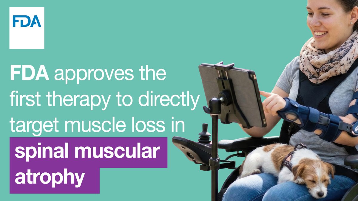 FDADrugs's tweet photo. Today we approved Isembyld, the first therapy to directly target muscle weakness linked to muscle loss in patients with the rare disease of spinal muscular atrophy (SMA). Designed to work alongside existing SMA treatments, it helps patients age 2 and older improve their strength and function. 

This is a meaningful milestone for people living with spinal muscular atrophy, and another step forward in FDA’s commitment to advancing treatments for people with rare diseases. https://t.co/h6ehqzC6Gd