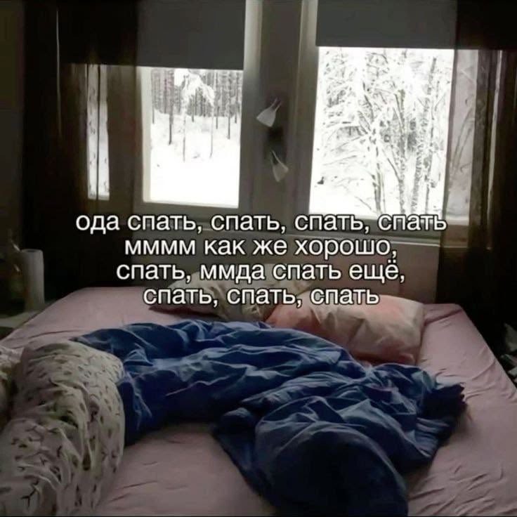 nervvk's tweet photo. ода прям щас https://t.co/Z02YY3WFne