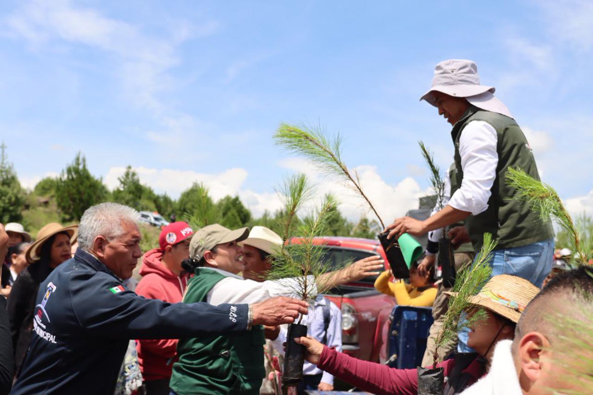 alhely_arronis's tweet photo. Junto a la comunidad mazahua, participamos en la Jornada de Saneamiento y Restauración Hidroecológica de la Cuenca de la Presa Tepetitlán, en #SanFelipeDelProgreso, una iniciativa que busca proteger los recursos hídricos que sostienen la vida y el bienestar de las comunidades.

Esta jornada reunió a la ciudadanía y a autoridades estatales, municipales y ejidales para impulsar acciones de reforestación, preparación del suelo y cuidado del agua, reconociendo el papel fundamental de los pueblos originarios en la conservación del territorio.

Agradezco la invitación del Secretario del Agua, José Arnulfo Silva Adaya, para formar parte de este esfuerzo que nos permite trabajar por la recuperación de nuestras cuencas y el bienestar de las familias mexiquenses.

#ElPoderDeServir