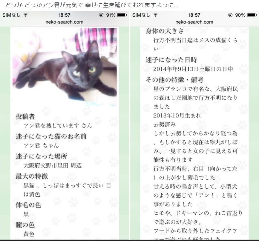snowwill_ow's tweet photo. RT@sora_meguringo_空(大阪府民の森ほしだ園地で黒猫♂保護されませんでしたか?) 
#拡散希望 #黒猫 #迷子猫 #保護
アン君 今どうしていますか
お腹はすいていませんか
痛い所は有りませんか
淋しい思いをしていませんか
ほしだ園地で逸れてからも アン君を想わない日はないよ 
https://t.co/gRUTdhRAl7
