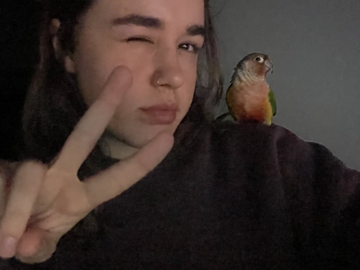 NeenStreams's tweet photo. good night from me and mr birb 🦜
locked into @RYCSx s 24hr stream https://t.co/8Tp1jhtgfz