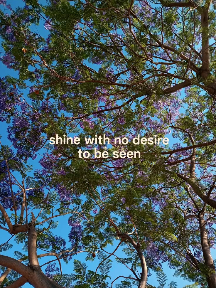 greenvibe's tweet photo. https://t.co/v4f9Fx9Yv5