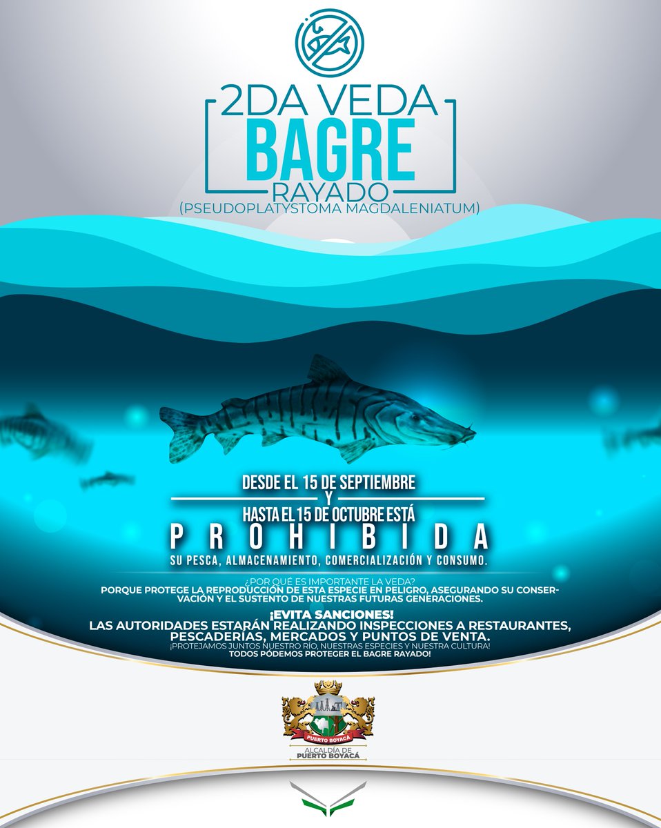 alcaldiaptoboy's tweet photo. 🚫Desde el 15 de septiembre hasta el 15 de octubre, está prohibida la pesca, almacenamiento, comercialización y consumo del Bagre rayado🐟⚠️#TenemosFuturo https://t.co/Ujmnik06k8