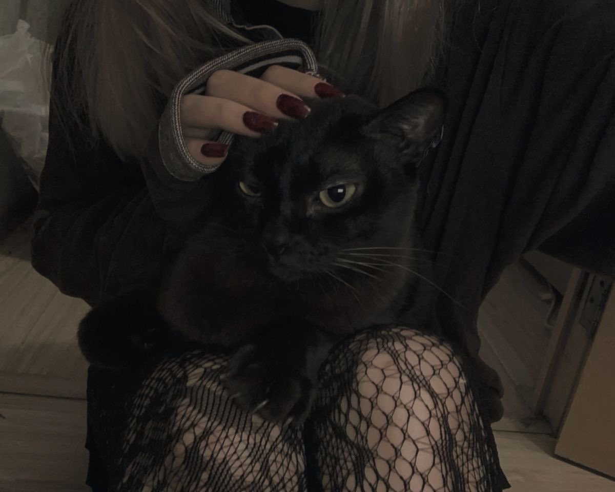 blackscats's tweet photo. https://t.co/CrGIFoIOYY