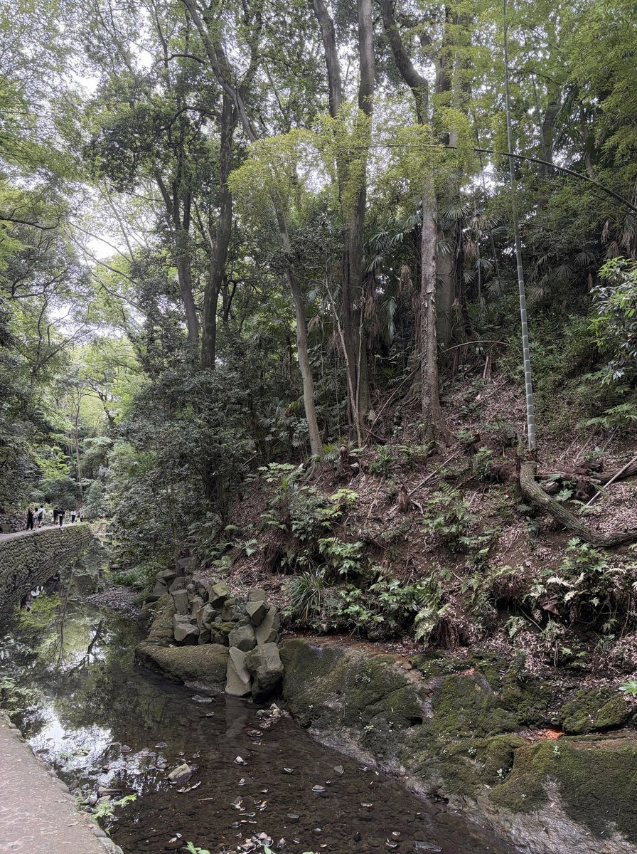 Guillermo_jbg's tweet photo. 音量調整中にキーキー高音なったり、突然爆音になったり、台風きてる？って言われるくらいの風音なったり、みんなの耳壊したの思い出して笑ってる https://t.co/D4R0Sfderp
