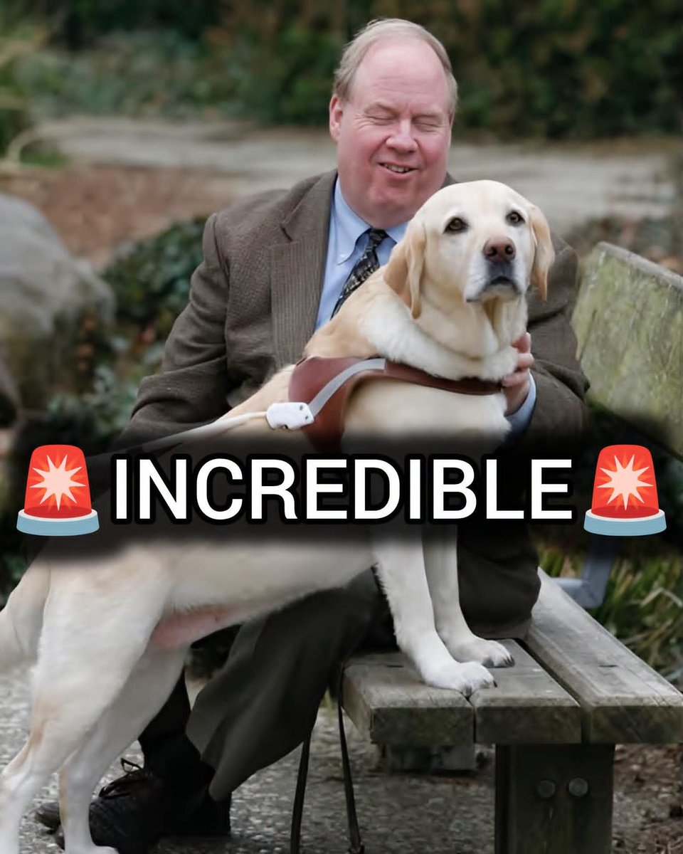 DOGEQEEN's tweet photo. INCREDIBLE: On 9/11, a yellow Lab named Roselle led her blind owner down 78 floors of the North Tower.

Michael Hingson was on the 78th floor of Tower 1 when Flight 11 hit above them. The building shook. Smoke filled the stairwell. Jet fuel burned in the air.

Roselle did not panic. She yawned. She wagged her tail. That told Michael they could move.

She guided him — and about 30 other people — down 1,463 steps. More than an hour in the dark. Then she walked him through falling debris as the towers came down.

A dog who could not see the fire still knew the way out.

Roselle later received honors as a true 9/11 hero. Michael told their story in Thunder Dog.

Twenty-five years later, remember the first responders. Remember the names. And remember the Lab who never left her man’s side.