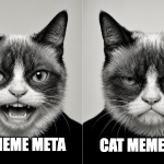 Photo by Grumpy Cat (@GrumpPumpSol)