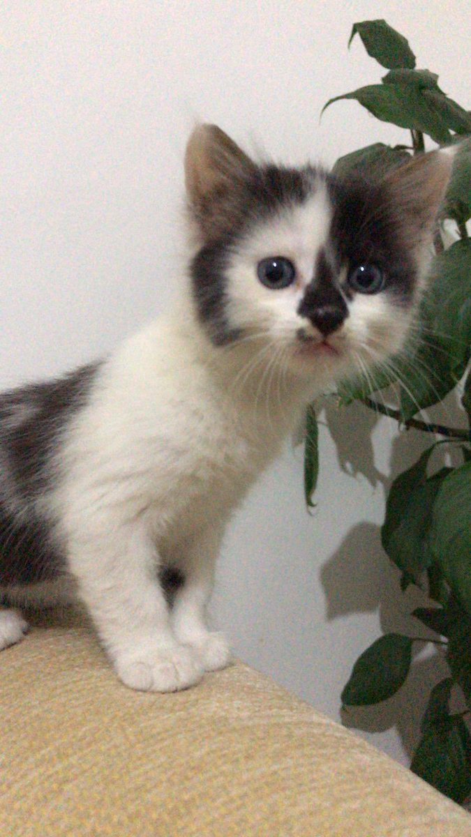 basak_b's tweet photo. çektiğim ilk fotoğrafı / çektiğim son fotoğrafı https://t.co/s5Kg43mn11